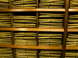 Buy Papers and Collected Material in the Library of Carl Linnaeus at AllPosters.com