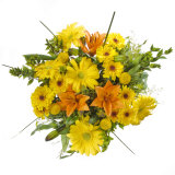 Daisy and Lily Bouquet