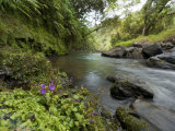 Rio Santo Antonio in the Upper Gran Caldera