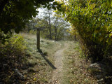 Buy Marker Post Beside the Appalachian Trail Framed by Foliage at AllPosters.com