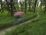Woman Riding a Mountain Bike Down a Twisty Trail