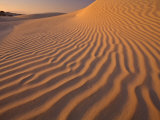Sand Dunes at Sand Dollar Beach, Isla Magdalena, Sunset