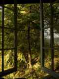 Buy Open Window Leads to the Back Woods Near Lake Champlain at AllPosters.com