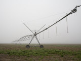 Irrigation Machine Stretches into the Eastern Shore Fog