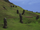 Moai Standing on a Hillside at Rano Raraku
