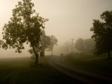 Morning Fog Blankets the Virginia Countryside