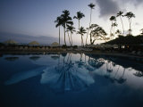 Silhouetted Palms and Swimming Pool at Twilight