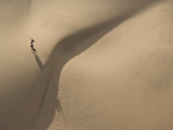 Gemsbok Crossing Sand Dunes in the Desert Near the Skeleton Coast