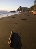 Beach at Sunset in Olympic National Park