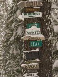 Buy Cabin Owner Signs on a Tree in Winter in the Forest at AllPosters.com