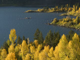 Buy Aspens and Evergreens at Slide Lake on the Gros Ventre River at AllPosters.com