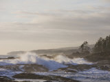 Stormy Day on Vancouver Island's West Coast