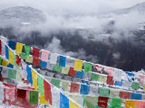 Buddhist Prayer Flags in Fresh Snow East of Deqin