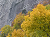 Colorful Trees and Sheer Granite Cliff Along the Blue Ridge Parkway