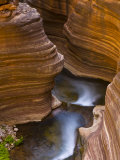 Buy Cascades Along Deer Creek in Slot Canyon, Grand Canyon National Park at AllPosters.com