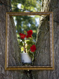 Old Picture Frame Playfully Set to Outline a Pot of Begonias