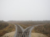 Train Track Runs Through the Boreal Forest on a Foggy Day
