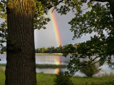 Buy Rainbow over Water and Forest in the Summer at AllPosters.com