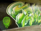 Buy City Sponsored and Approved Graffiti of Dunedin City at AllPosters.com