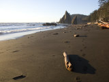 Beach at Sunset in Olympic National Park