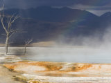 Buy Rainbow Formed in the Steam Rising from a Hot Spring at AllPosters.com