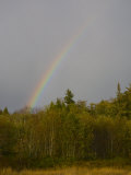 Rainbow Graces the Sky after a Rainshower
