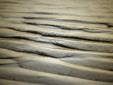 Last Rays of the Setting Sun Catches Sand Ripples on a Tidal Flat