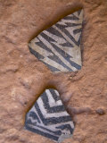 Prehistoric Anasazi Pottery Sherds in Grand Gulch Primitive Area