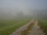 Country Road Disappears into Morning Fog