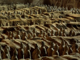 Buy China's Great Terracotta Army Is Seen from the Side Facing Rising Sun at AllPosters.com