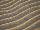 Sunset Light Plays on a Close View of Wind Blown Sand