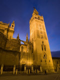 Giralda Tower and Cathedral as Seen from Plaza Del Triunfo