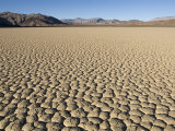Dry Mud Patterns on the Racetrack