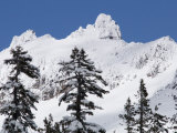 Castle Peak Area Covered in Fresh Snow from February Storms