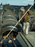 Man Holding Pole Directs Pulp Logs into Barking Drums for Skinning