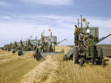 Buy Men Drive Combines in Diagonal Line Through Golden Grain Fields at AllPosters.com