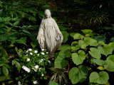 Buy Statue of the Virgin Mary Rises in a Garden in Vienna, Virginia at AllPosters.com