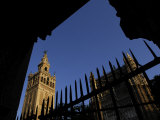 Seville Cathedral Through an Iron Fence