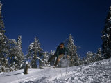 Buy Snow Flies as a Skier Jumps with the Help of His Poles at AllPosters.com