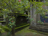 Buy South Park Street Cemetery, Famous Cemetery During British East India at AllPosters.com