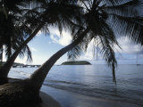 Waterfront at Esperanza on Vieques Island, Puerto Rico