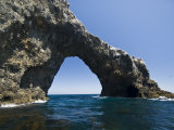 Anacapa Island Arch in the Channel Islands National Park, Close-Up