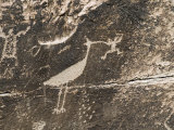 Petroglyphs from the Puerco People at Newspaper Rock