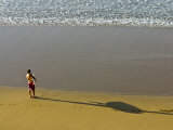 Lone Surfer Studies the Morning Swell Deciding Where to Catch a Wave