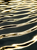 Sunset Light on Waves Formed by Motorboat Wake