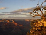 Grand Canyon from Yavapai Point