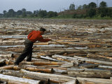 Buy Lumberjack Uses a Pike Pole to Prevent a Massive Log Jam on a River at AllPosters.com