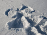 Snow Angel Is Left from Pay on a Winter Day