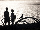Silhouette of a Couple Walking Along the Beach, Near a Perched Bird