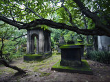 Buy South Park Street Cemetery, Famous Cemetery During British East India at AllPosters.com